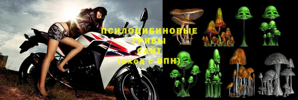 наркотики Гатчина