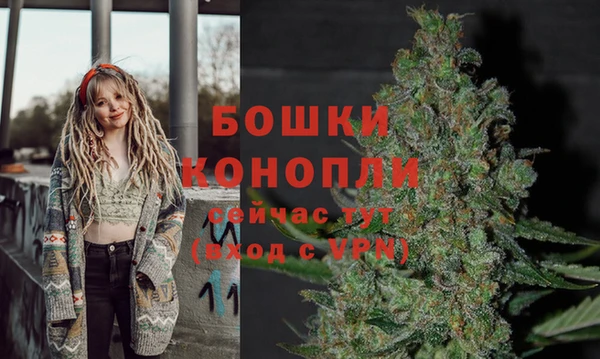 хмурый Новозыбков