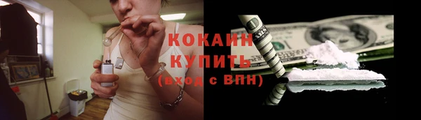 хмурый Новозыбков