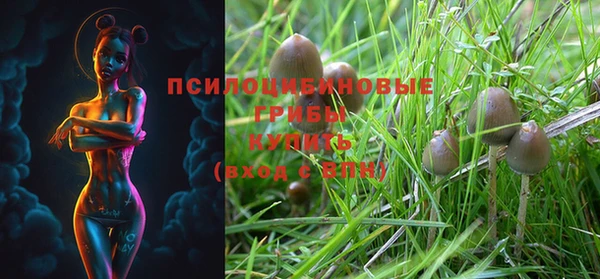 амф Нея