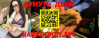 крисы Гай