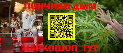 крисы Гай