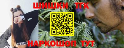 гашик Гагарин