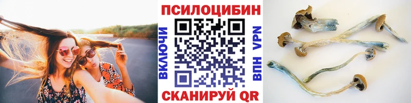 Галлюциногенные грибы Psilocybine cubensis  Кимовск 