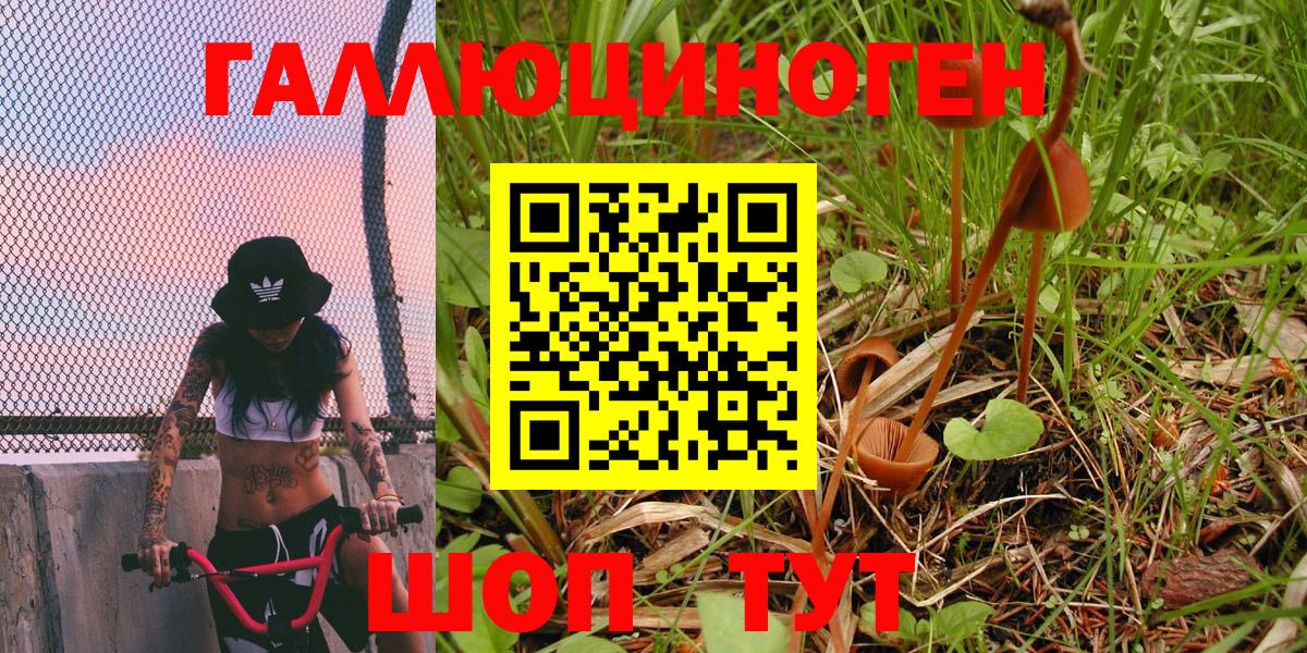 Псилоцибиновые грибы ЛСД  Псилоцибиновые грибы мухоморы  цена   Кимовск 