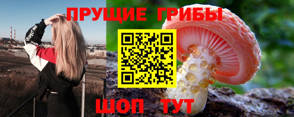 Галлюциногенные грибы MAGIC MUSHROOMS Кимовск