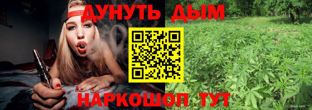 Шишки марихуана OG Kush Кимовск